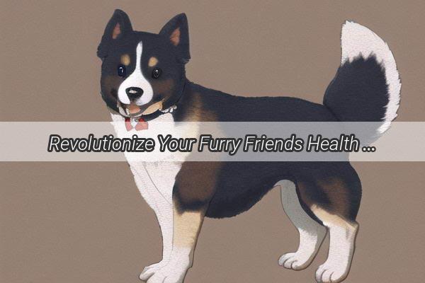 Revolutionize Your Furry Friends Health The Ultimate Guide to the Best Medications for Dogs